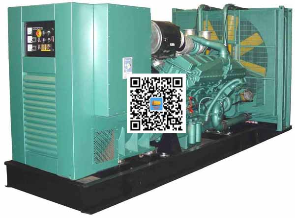 水城笼型异步发电机的电力电子控制技术